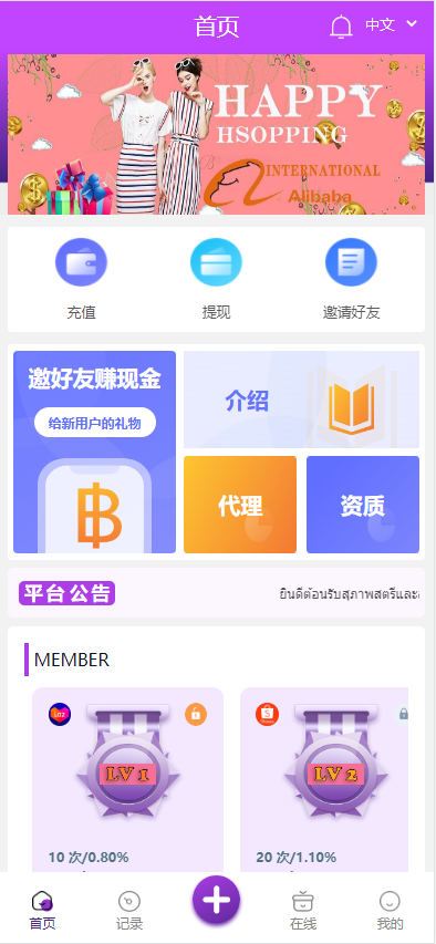 九套UI可切换海外抢单刷单系统/订单自动匹配系统/分组杀/连单控